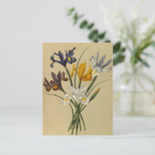 アイリス・シピウム（アイリス・ヒスパニカ）by Arentina Arendsen ポストカード (スタンド正面)