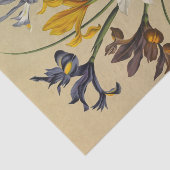 アイリス・シピウム（アイリス・ヒスパニカ）by Arentina Arendsen 薄葉紙 (詳細)