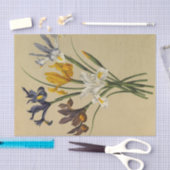 アイリス・シピウム（アイリス・ヒスパニカ）by Arentina Arendsen 薄葉紙 (クラフト)