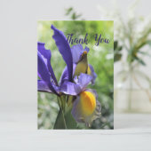 アイリス パープル 御礼カード サンキューカード (スタンド正面)
