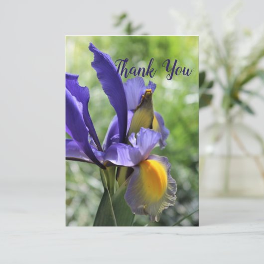 アイリス パープル 御礼カード サンキューカード (スタンド正面)