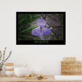 「アイリス&フラッグストーン」 -プリント ポスター (キッチン)