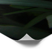 アイリス ポスター (角)