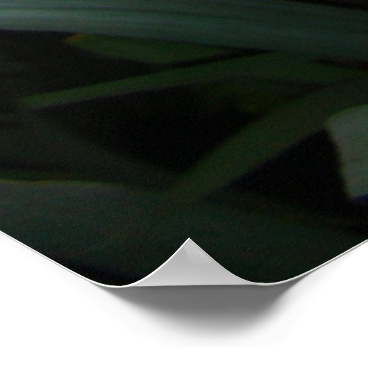 アイリス ポスター (角)