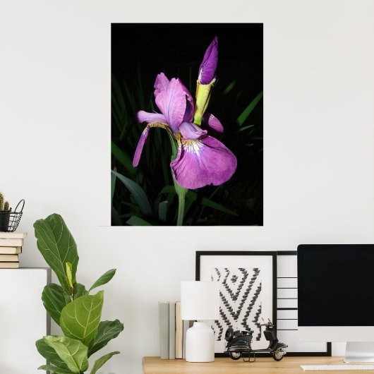 アイリス ポスター (ホームオフィス)