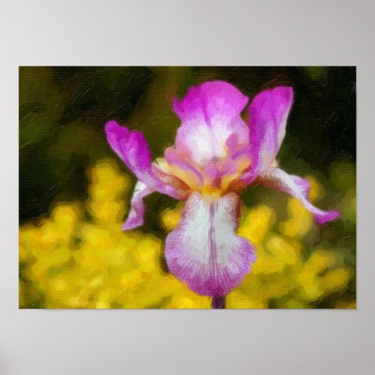 アイリス ポスター (正面)