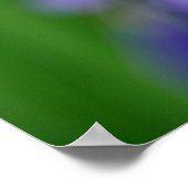 アイリス ポスター (角)