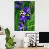 アイリス ポスター (ホームオフィス)