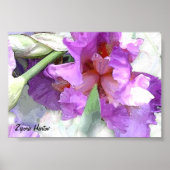 アイリス ポスター (正面)