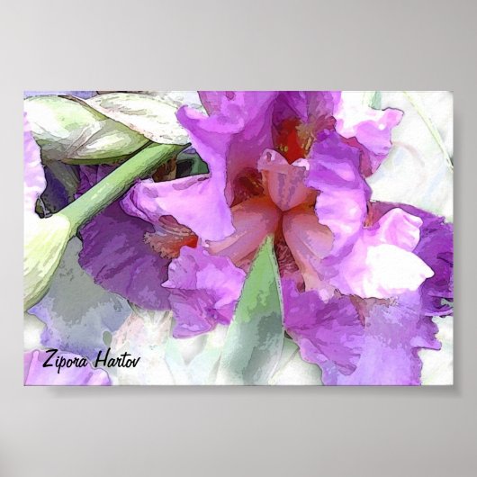 アイリス ポスター (正面)