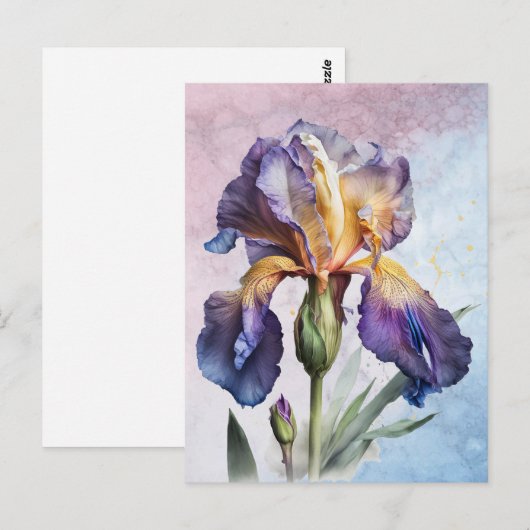 アイリス ポストカード (正面/裏面)