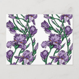 アイリス ポストカード