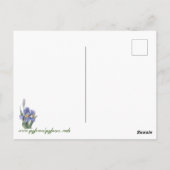 アイリス ポストカード (裏面)