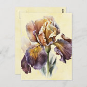 アイリス ポストカード (正面/裏面)