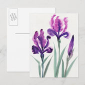 アイリス ポストカード (正面/裏面)