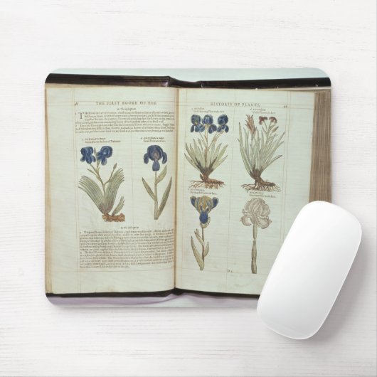 アイリス マウスパッド (マウス)