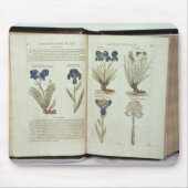 アイリス マウスパッド (正面)