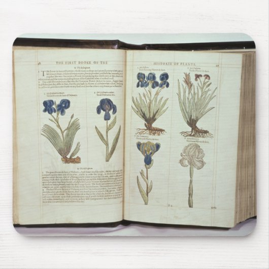 アイリス マウスパッド (正面)