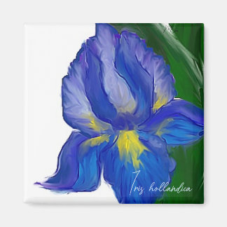 アイリス マグネット