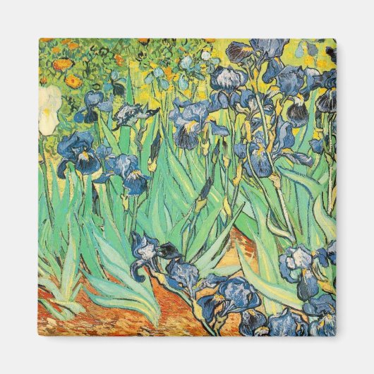 アイリス マグネット (正面)