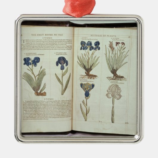 アイリス メタルオーナメント (正面)