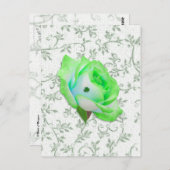 アイリス・ローズとシャムロック！ ポストカード (正面/裏面)