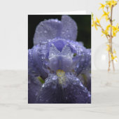 アイリス-挨拶状の雨滴 カード (黄色い花)