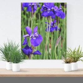 アイリス 紫色の花のボタニカルフォトグラフィー キャンバスプリント