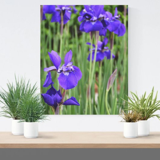 アイリス 紫色の花のボタニカルフォトグラフィー キャンバスプリント