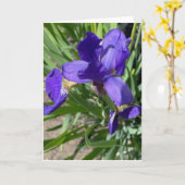 アイリス 紫色の花の写真 ギーティングカード カード (黄色い花)