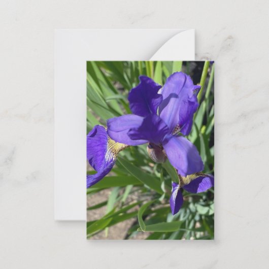 アイリス 紫色の花の写真 ノートカード (正面)