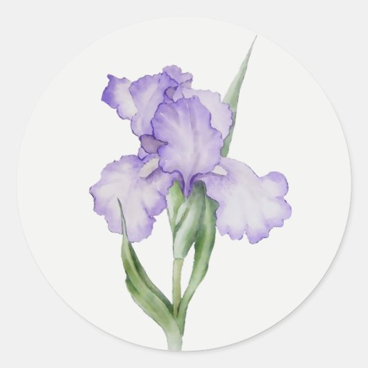 アイリス 紫色の花 華やかな庭の花 フラワーアート ラウンドシール (正面)