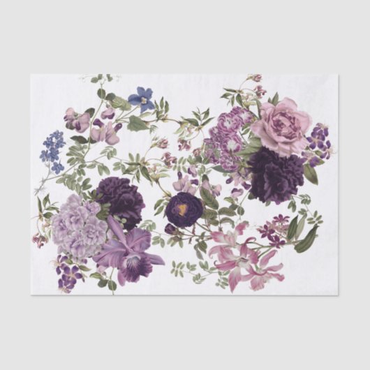 アイリス、蘭、紫の切り離しのバラ 薄葉紙 (正面)