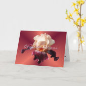 アイリス[1] -大事な行事をカスタマイズ カード (黄色い花)