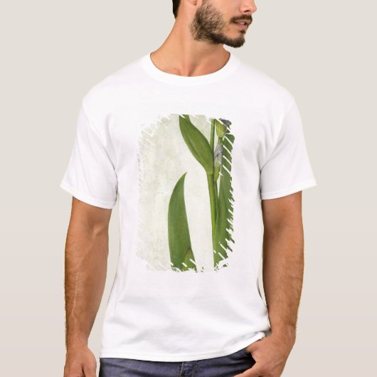 アイリス Tシャツ (正面)