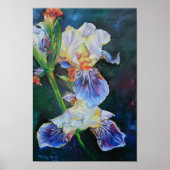 「アイリスI」 ポスター (正面)