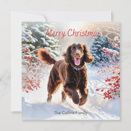 アイリッシュウォータースパニエル犬で雪の冬メリークリスマス シーズンカード (正面)