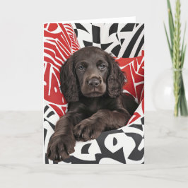 アイリッシュウォータースパニエル犬パピーバレンタインカード サンキューカード