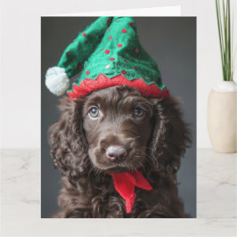 アイリッシュウォータースパニエル犬小妖精や小人パピークリスマスカード カード