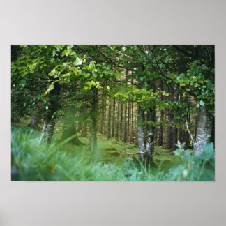 アイリッシュウッド ポスター