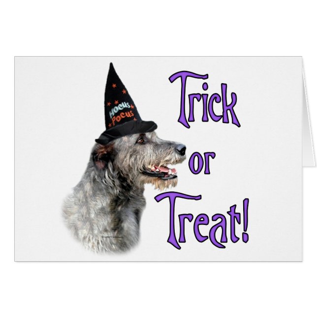 アイリッシュウルフハウンドトリック (正面横)