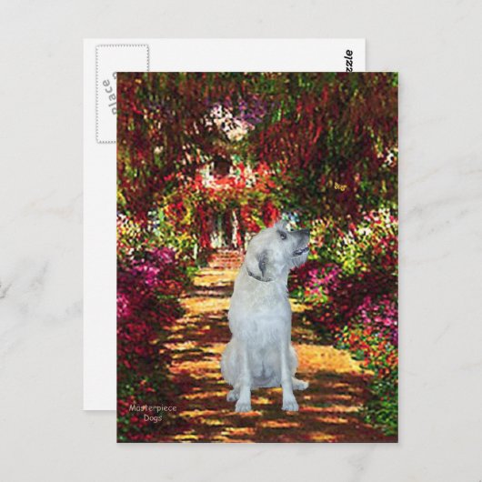 アイリッシュウルフハウンド4 – パス ポストカード (正面/裏面)