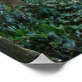 アイリッシュガーデンゲート ポスター (角)