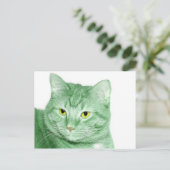 アイリッシュキャット ポストカード (スタンド正面)