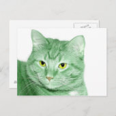 アイリッシュキャット ポストカード (正面/裏面)