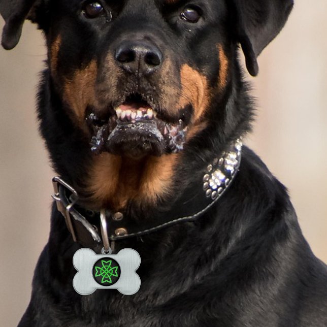 アイリッシュグリーン ケルトノット ペットネームタグ (Vibrant green Irish Celtic knot design on black on bone shaped pet tag.)