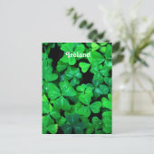 アイリッシュシャームロック ポストカード (スタンド正面)