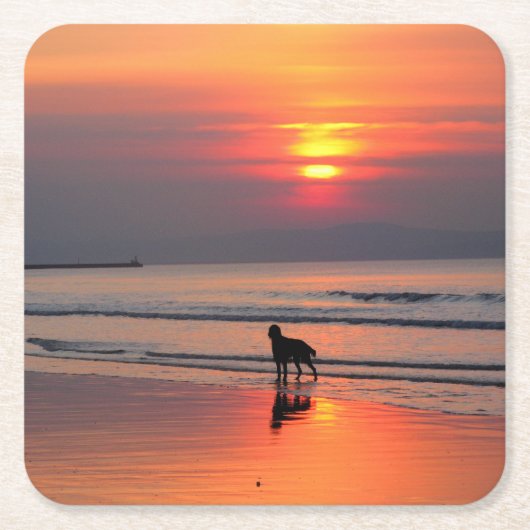 アイリッシュシーコースターの夕日 スクエアペーパーコースター (正面)