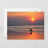 アイリッシュシーポストカードに夕日 ポストカード (正面/裏面)