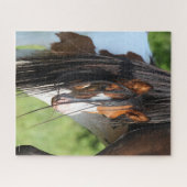 アイリッシュスポーツホースフォール隠れテール ジグソーパズル (横)